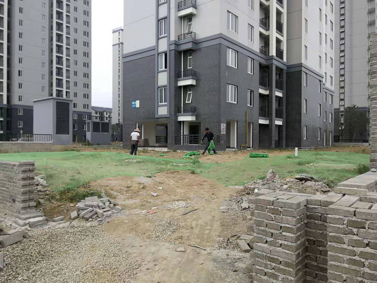 3810eae6e41bd5606f1c85b2491fcfd3.jpg 微信圖片_20190831112501.jpg