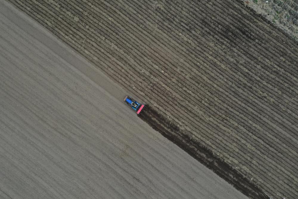 吉林省安圖縣龍山村農(nóng)民在田間播種玉米（5月8日無人機拍攝）。新華社記者　林宏　攝